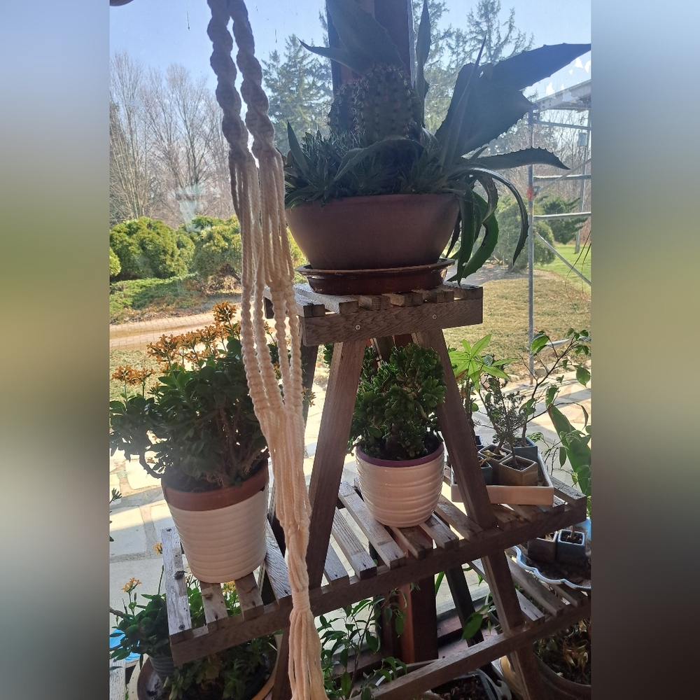 Macrame Plant hanger